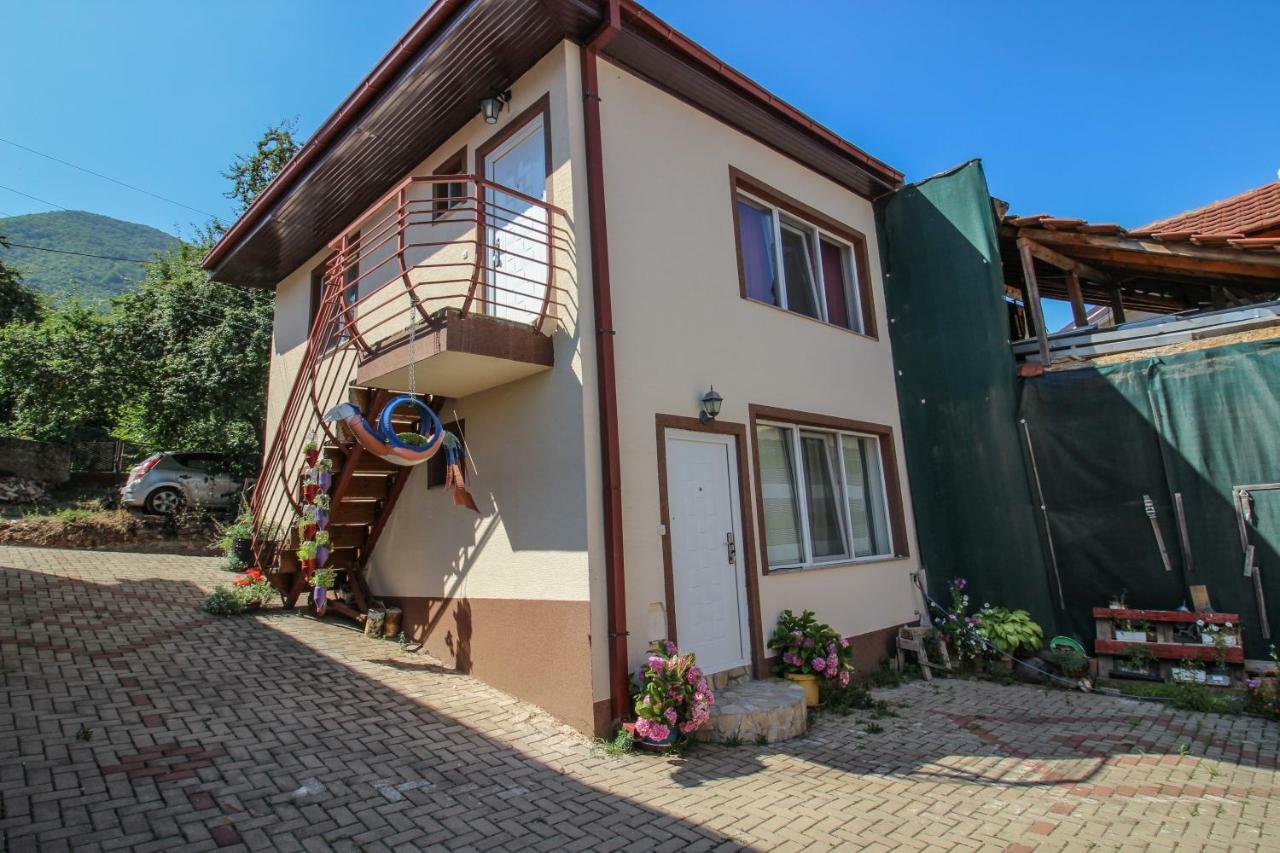 Apartmani Mishe Vevcani Bagian luar foto
